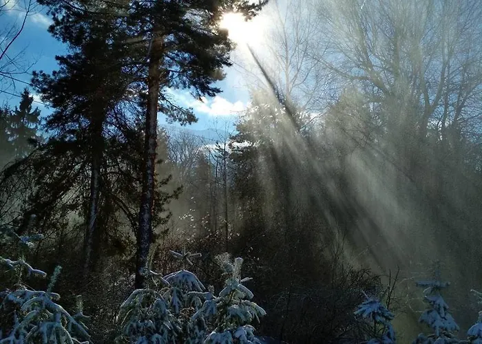 Fortuna Lejlighed Bansko