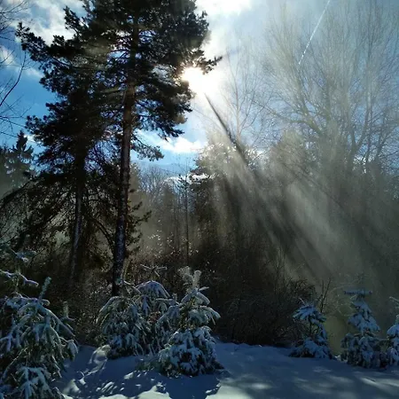 Fortuna Apartamento Bansko