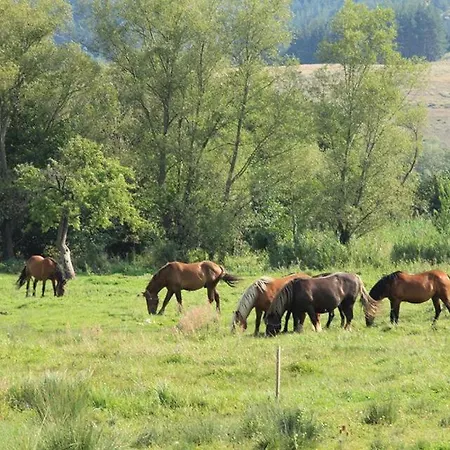 Appartamento Fortuna