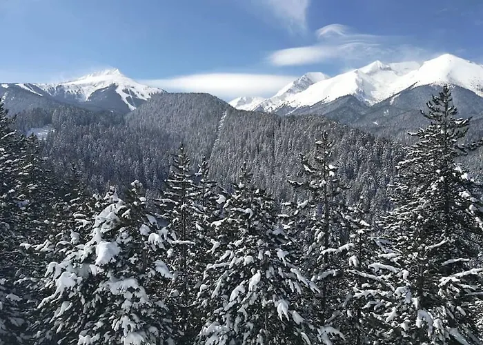 Fortuna Lejlighed Bansko